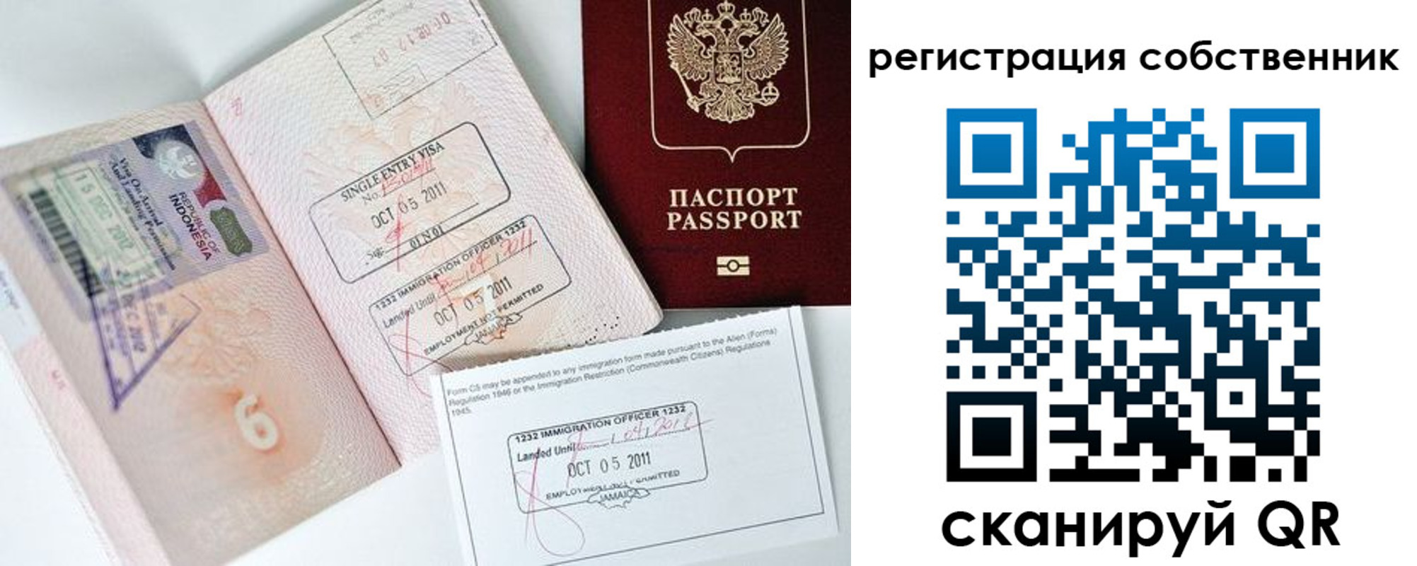 прописка поиск в Химках